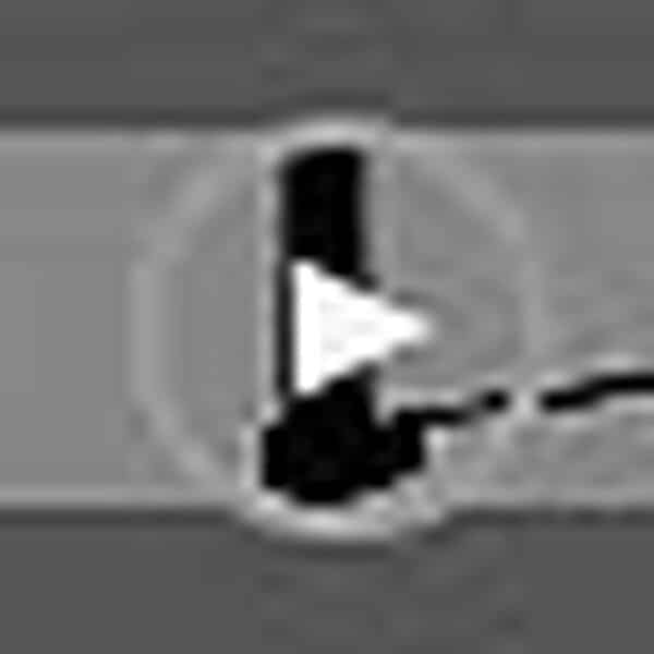 Philips Sonicare ExpertClean 7300, Brosse à dents électrique sonique avec application, 3 modes de brossage et 3 niveaux d'intensité, capteur de pression, coffret de voyage, noir, modèle HX9601/02