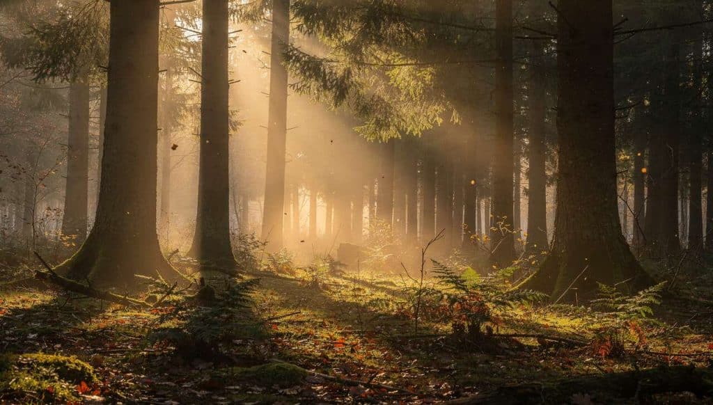 Aimer ça commence avec soi-même