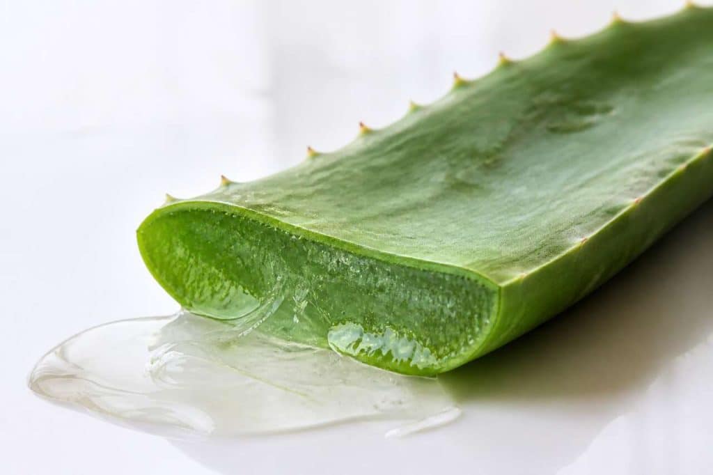 Pourquoi boire du gel d'aloe vera ?
