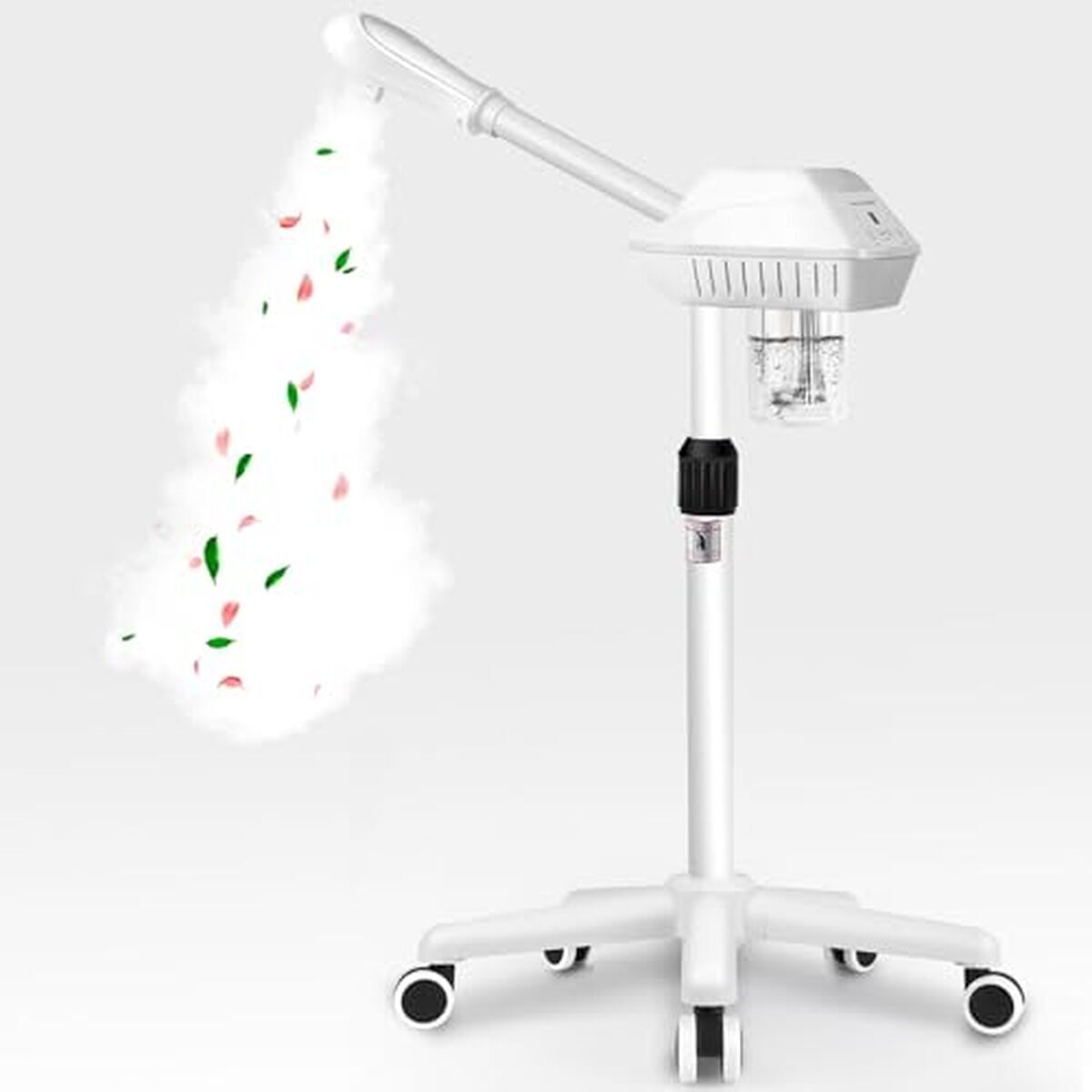 Test : défroisseur facial nano sur roues pour spa et maison